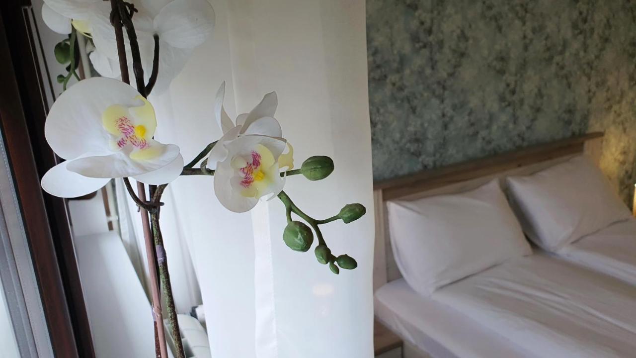 Apartments Spring Cacak Bagian luar foto