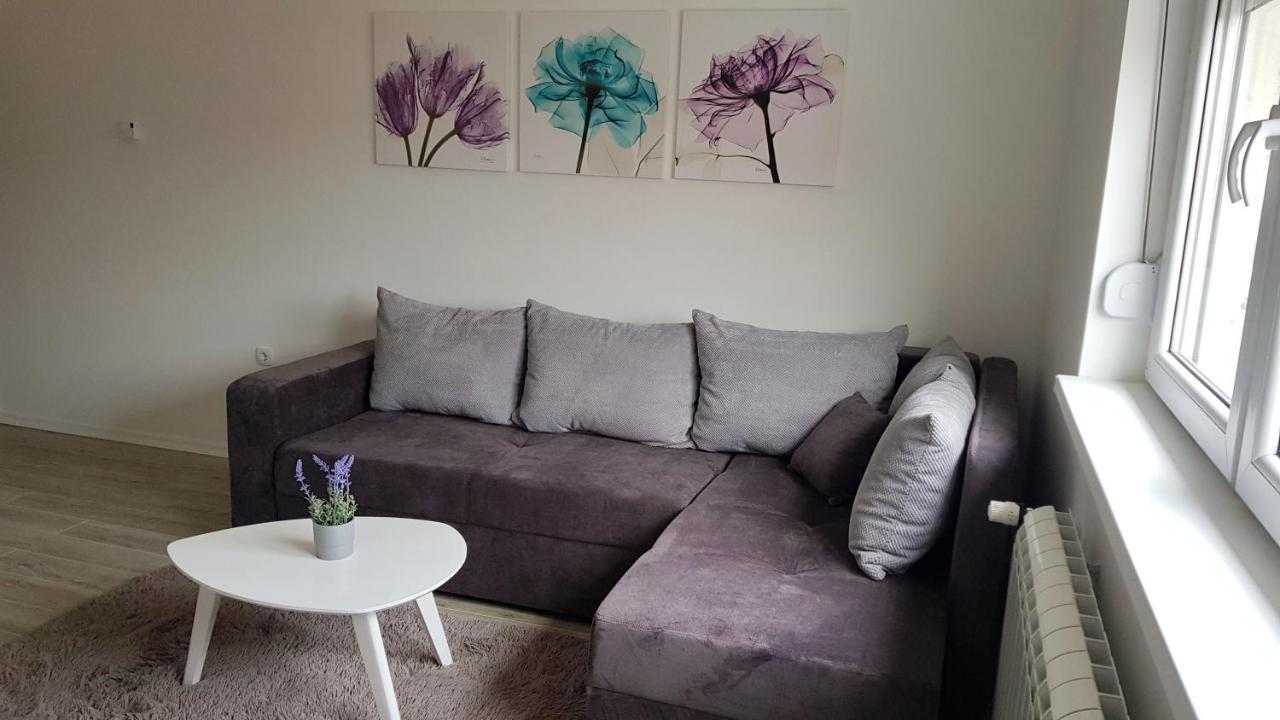 Apartments Spring Cacak Bagian luar foto